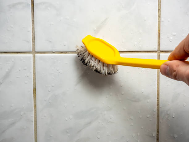 Best Fast Mold Removal  in Haverhill, FL