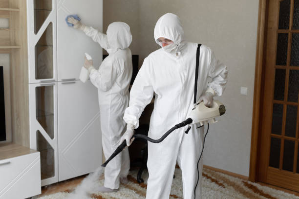 Best Mold Removal Process  in Haverhill, FL