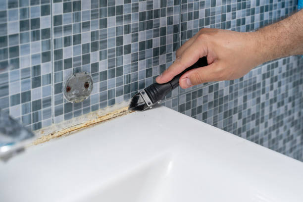 Best Black Mold Removal  in Haverhill, FL