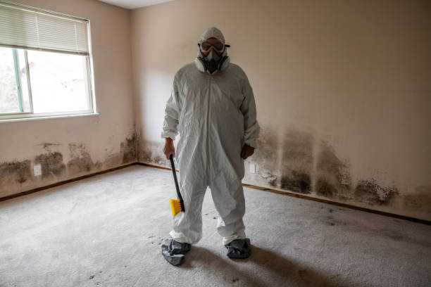 Best Attic Mold Removal  in Haverhill, FL